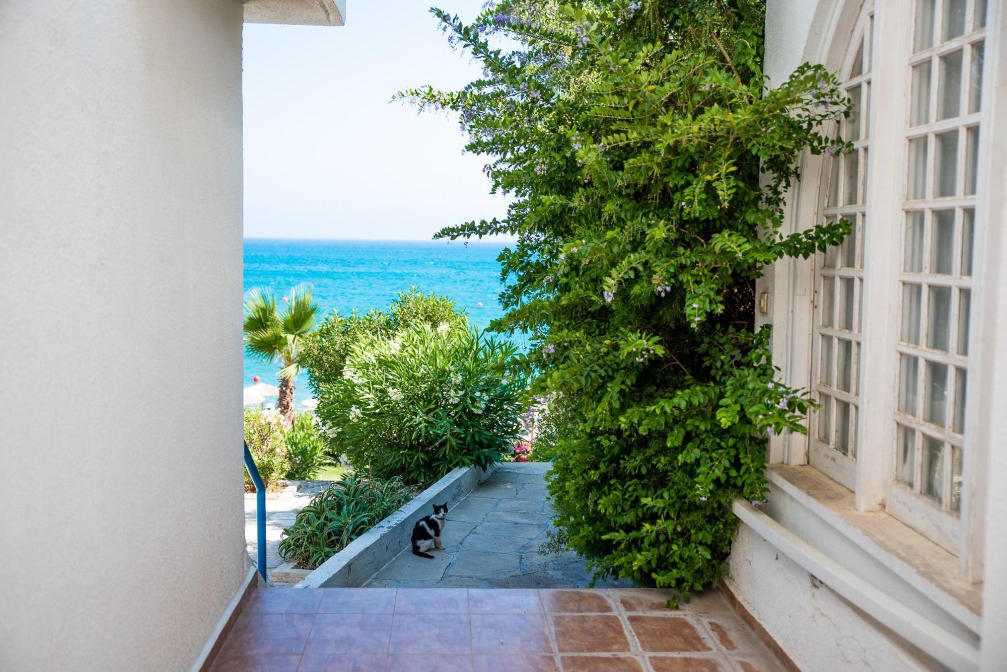 Pissouri Bay Studio Exterior foto